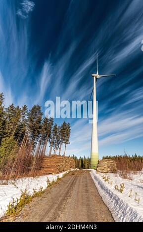 Photo verticale du moulin à vent debout dans la forêt de pins, hiver ensoleillé jour, deux grumes de pins avec bois frais coupé, route forestière, ciel bleu clair. Ecol Banque D'Images