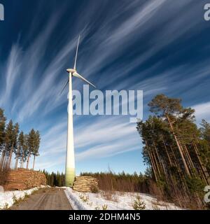 Photo carrée d'un moulin à vent debout dans une forêt de pins, jour ensoleillé d'hiver, deux grumes de pins avec bois frais coupé, route forestière, ciel bleu clair. EcoLog Banque D'Images