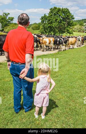 Alabama Alexandria Wright ferme laitière veaux vaches pâturage, vente en gros fromager producteur ferme grand-père petite fille, Banque D'Images