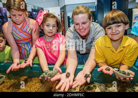 Alabama Dauphin Island Sea Lab Estuarium public aquarium, mains sur des coquillages filles garçon enfants naturaliste tenant des escargots, Banque D'Images