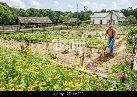 Alabama Dothan Landmark Park Living History Farm 1890's, agriculteur labourant jardin fleurs sauvages, Banque D'Images