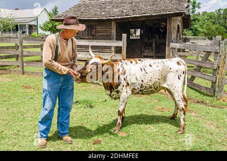 Alabama Dothan Landmark Park Living History Farm 1890's, fermier Barnes pineywoods vache criollo bétail, Banque D'Images