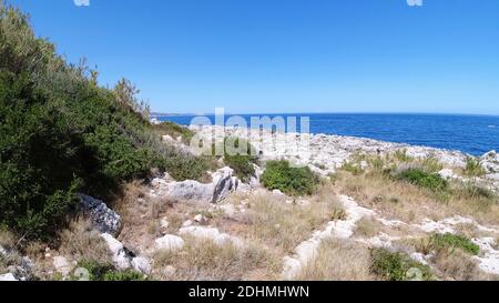 Vue sur la côte rocheuse de la mer Adriatique près de Santa Maria di Leuca, un hameau de Catrignano del Capo, dans la province de Lecce, dans le sud du Salento Banque D'Images