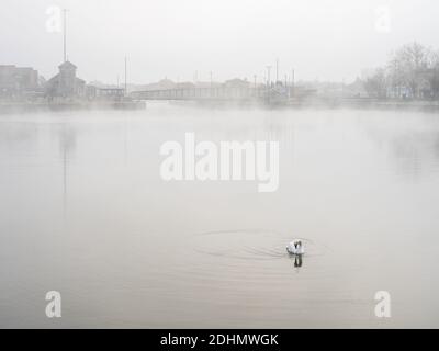 Un cygne nage dans le bassin de Cumberland alors que le brouillard s'élève dans le port flottant de Bristol. Banque D'Images