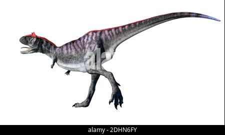 Illustration d'un dinosaure carnotaurus. Ce dinosaure théropode carnivore vivait durant la période du Crétacé tardif dans ce qui est maintenant Patagonie, en Argentine Banque D'Images