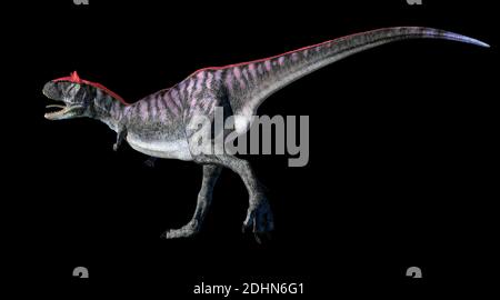 Illustration d'un dinosaure carnotaurus. Ce dinosaure théropode carnivore vivait durant la période du Crétacé tardif dans ce qui est maintenant Patagonie, en Argentine Banque D'Images