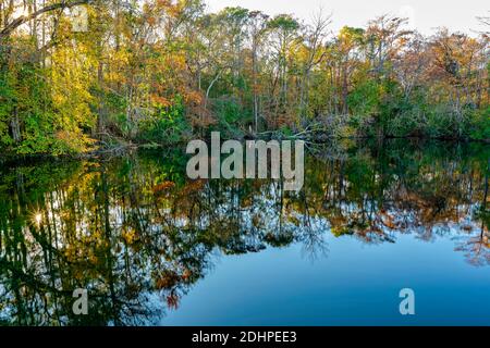 Edward ball Wakulla Springs State Park. Les sources d’eau douce les plus importantes et les plus profondes du monde. Le lagon noir. Banque D'Images