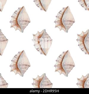 Motif régulier délicat sans couture avec des conchs marins aquarelles réalistes sur fond pastel. Banque D'Images