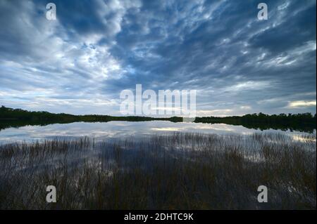 Le paysage nuageux du lever du soleil se reflète sur l'eau tranquille de Nine Mile Pond, dans le parc national des Everglades, en Floride. Banque D'Images