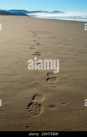 Empreintes sur la plage, BayOcean Peninsula, Tillamook County, Oregon Banque D'Images