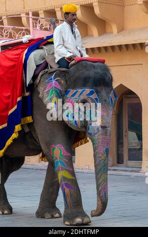 Éléphant indien décoré à l'intérieur du fort d'Amer, Jaipur, Rajasthan, Inde. Banque D'Images