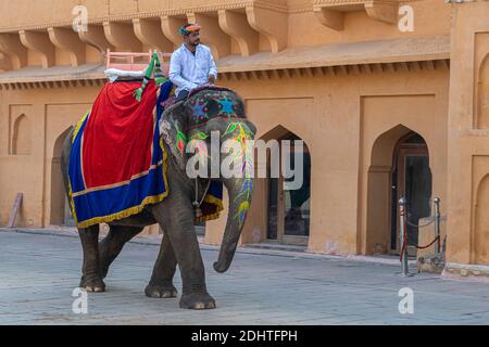Éléphant indien décoré à l'intérieur du fort d'Amer, Jaipur, Rajasthan, Inde. Banque D'Images