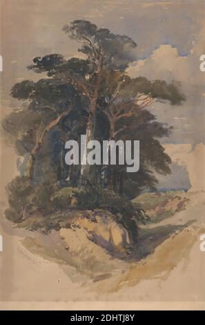 Pines on Hampstead Heath, William James Muller, 1812–1845, British, 1842, Aquarelle, gouache, et graphite sur du papier vélin beige modérément épais, légèrement texturé, feuille: 19 5/8 x 13 pouces (49.8 x 33 cm), nuages, paysage, pins, Angleterre, Hampstead, Londres, Royaume-Uni Banque D'Images