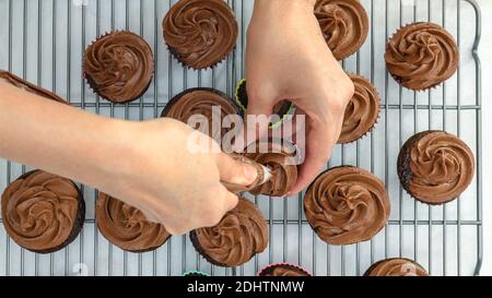 Mini-petits gâteaux glacés avec glaçage au chocolat à la crème au beurre, gros plan, mains de femme, plat Banque D'Images