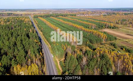 Route traversant le paysage forestier, vue aérienne en quadrocopter Banque D'Images