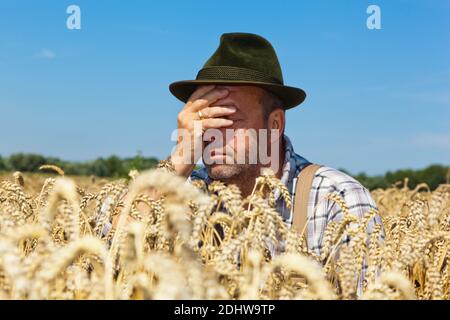 Bauer begutachtet sein Getreide und ist entsetzt, schlechte Ernte droht Banque D'Images
