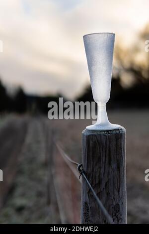 Verre de champagne glacé brillant laissé sur un poste de clôture après une fête le matin du nouvel an. Fêtez les ordures dans la nature après avoir fêté le nouvel an. Banque D'Images