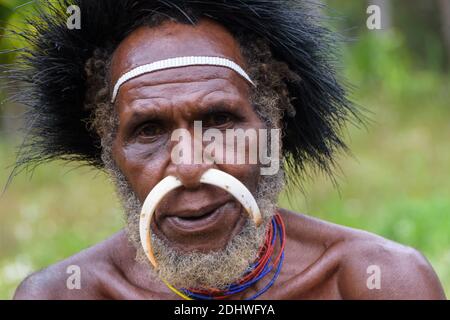 Baliem Valley, Papouasie occidentale, Indonésie. Portrait d'un tribesman Dani Banque D'Images