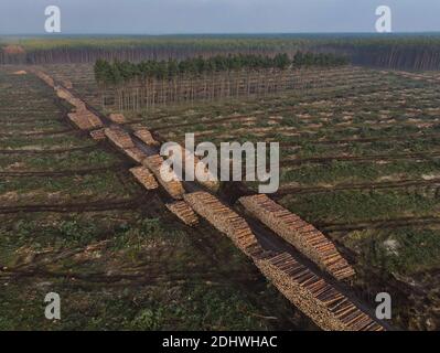 12 décembre 2020, Brandebourg, Grünheide: Une autre zone de forêt de pins a déjà été défrichée sur le site de construction de Tesla Gigafactory (photographie aérienne prise avec un drone). À partir de juillet 2021, un maximum de 500,000 véhicules par an doivent être mis en service à l'usine - et selon les plans du constructeur automobile, le maximum doit être atteint le plus rapidement possible. Le constructeur automobile américain s'attend à ce que sa première usine prévue en Europe emploie jusqu'à 10,500 personnes en service pour l'instant. Photo: Patrick Pleul/dpa-Zentralbild/dpa Banque D'Images