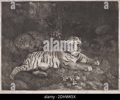 Un tigre et un léopard endormi, imprimé par George Stubbs, 1724–1806, britannique, d'après George Stubbs, 1724–1806, britannique, 1788, gravure au sol mou avec roulette sur papier de vélin moyen, légèrement texturé, crème, feuille: 9 3/4 x 12 1/2 pouces (24.8 x 31.8 cm) et image: 9 1/8 x 12 1/8in. (23.2 x 30,8 cm), art animal, branches, lierre, plantes, roches (formes terrestres), dormant, tigre Banque D'Images