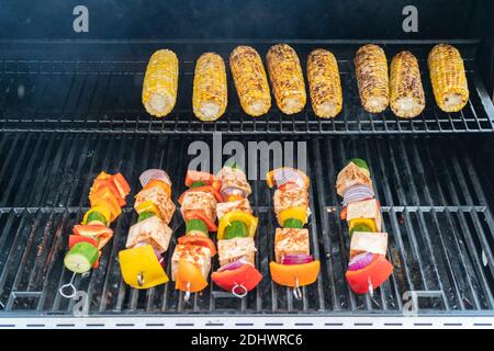 Griller le tofu végétarien aux légumes brochettes marinées dans une sauce épicée. Banque D'Images