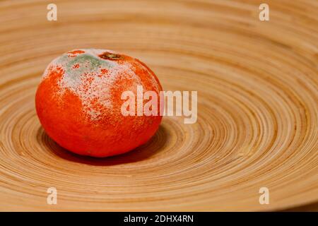 Rotten mandarin in a bowl Stock Photo