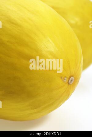 Espagnol jaune melon, Cucumis melo, Fruit against White Background Banque D'Images