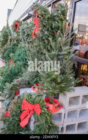 Arbres de Noël vivants, couronnes et guirlandes avec des arcs rouges à vendre à l'extérieur d'un magasin avec la rue et les voitures reflétées dans la fenêtre - mise au point sélective Banque D'Images