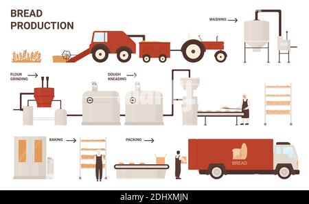 Illustration vectorielle du processus de production de pain. Poster éducatif sur les informations de dessin animé avec ligne de traitement automatisé de l'usine de fabrication de machines à pain, de l'équipement de courroie de boulangerie de convoyeur et des travailleurs Illustration de Vecteur