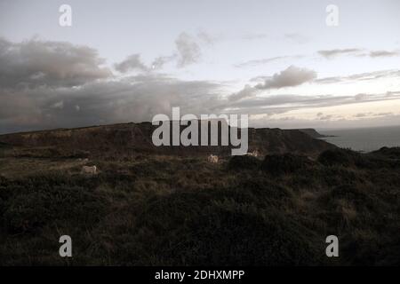 Paysage nuageux spectaculaire sur la côte nord accidentée près de Port Isaac, Cornouailles, Angleterre, le long du sentier côtier National Trust. Banque D'Images