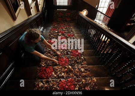 Fleurs bordant l'escalier principal à Antony House à Cornwall, Royaume-Uni Banque D'Images