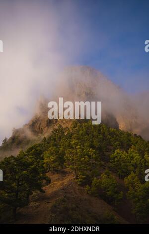 sommet d'une montagne ensoleillée avec des nuages dessus et une forêt de pins verts Banque D'Images
