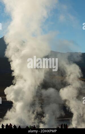 Champ geyser El Tatio et zone géothermique, situés dans les Andes, dans la région d'Atacama, dans le nord du Chili, en Amérique du Sud Banque D'Images