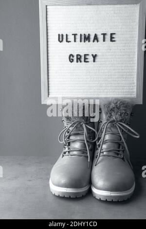 chaussures élégantes colorées dans la couleur grise ultime tendance, en démonstration de la couleur moderne de 2021. Bannière Banque D'Images