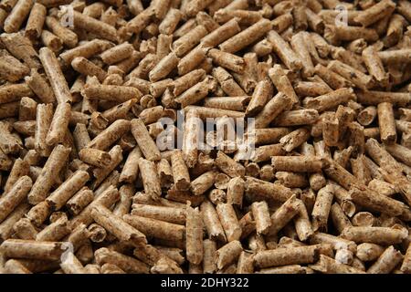 Texture des granulés de bois. Granulés de bois comprimés utilisés comme litière naturelle pour chats. Matériau écologique et biodégradable. Banque D'Images