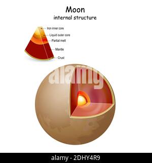 Structure interne de la lune et intérieur. Section transversale du satellite naturel de la Terre du noyau au manteau et à la croûte. Infographiques. Diagramme vectoriel Illustration de Vecteur