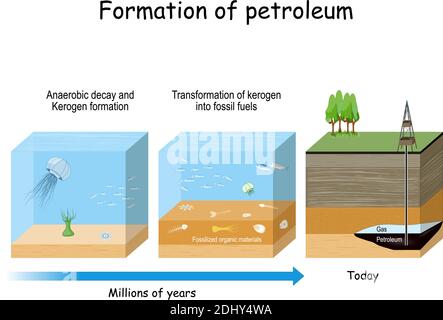 Formation de pétrole. Formation de pétrole et de gaz. Combustible fossile dérivé de matériaux organiques fossilisés anciens. Illustration de Vecteur