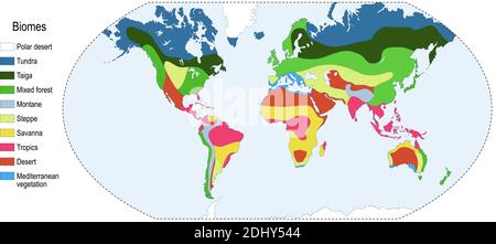 Biomes. L'écosystème terrestre est une communauté d'organismes vivants. Biotope : montagnard, désert, tropiques, savane, steppe, méditerranée, forêt mixte Illustration de Vecteur