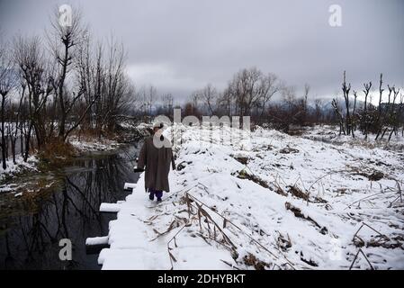 Un homme marche sur un pont de bois recouvert de neige après une première chute de neige à Srinagar.la première chute de neige de la saison a frappé les plaines de la vallée du Cachemire tandis que les sommets supérieurs du Jammu-et-Cachemire ont subi de fortes chutes de neige. Toutes les autoroutes principales, y compris la Srinagar-Jammu, la Srinagar-Leh et la route Mughal, sont fermées à la circulation à la suite de fortes chutes de neige, ont déclaré les responsables. Banque D'Images