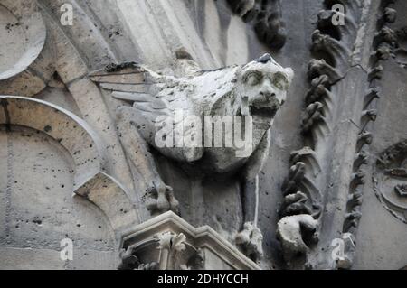 Illustration de Gargouille (Gargouille) à l'église et la cathédrale de Paris, France, le 03 avril 2016. Le terme gargouille est le plus souvent appliqué à l'œuvre médiévale, mais à tous les âges, certains moyens de diversion de l'eau, quand ils ne sont pas transportés dans les gouttières, ont été adoptés. Dans l'architecture égyptienne ancienne, les gargouilles montraient peu de variation, généralement sous la forme d'une tête de lion. Des jets d'eau semblables à l'embouchure du lion ont également été observés sur les temples grecs, sculptés ou modélisés dans le cymatium en marbre ou en terre cuite du cornice. Un excellent exemple de ceci sont les 39 becs d'eau à tête de lion restants sur le Temple de Z Banque D'Images