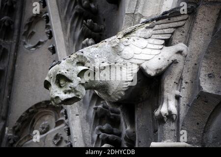 Illustration de Gargouille (Gargouille) à l'église et la cathédrale de Paris, France, le 03 avril 2016. Le terme gargouille est le plus souvent appliqué à l'œuvre médiévale, mais à tous les âges, certains moyens de diversion de l'eau, quand ils ne sont pas transportés dans les gouttières, ont été adoptés. Dans l'architecture égyptienne ancienne, les gargouilles montraient peu de variation, généralement sous la forme d'une tête de lion. Des jets d'eau semblables à l'embouchure du lion ont également été observés sur les temples grecs, sculptés ou modélisés dans le cymatium en marbre ou en terre cuite du cornice. Un excellent exemple de ceci sont les 39 becs d'eau à tête de lion restants sur le Temple de Z Banque D'Images