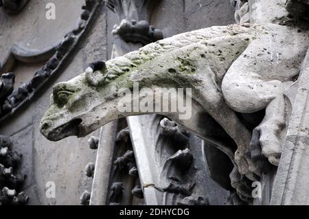Illustration de Gargouille (Gargouille) à l'église et la cathédrale de Paris, France, le 03 avril 2016. Le terme gargouille est le plus souvent appliqué à l'œuvre médiévale, mais à tous les âges, certains moyens de diversion de l'eau, quand ils ne sont pas transportés dans les gouttières, ont été adoptés. Dans l'architecture égyptienne ancienne, les gargouilles montraient peu de variation, généralement sous la forme d'une tête de lion. Des jets d'eau semblables à l'embouchure du lion ont également été observés sur les temples grecs, sculptés ou modélisés dans le cymatium en marbre ou en terre cuite du cornice. Un excellent exemple de ceci sont les 39 becs d'eau à tête de lion restants sur le Temple de Z Banque D'Images