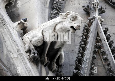 Illustration de Gargouille (Gargouille) à l'église et la cathédrale de Paris, France, le 03 avril 2016. Le terme gargouille est le plus souvent appliqué à l'œuvre médiévale, mais à tous les âges, certains moyens de diversion de l'eau, quand ils ne sont pas transportés dans les gouttières, ont été adoptés. Dans l'architecture égyptienne ancienne, les gargouilles montraient peu de variation, généralement sous la forme d'une tête de lion. Des jets d'eau semblables à l'embouchure du lion ont également été observés sur les temples grecs, sculptés ou modélisés dans le cymatium en marbre ou en terre cuite du cornice. Un excellent exemple de ceci sont les 39 becs d'eau à tête de lion restants sur le Temple de Z Banque D'Images