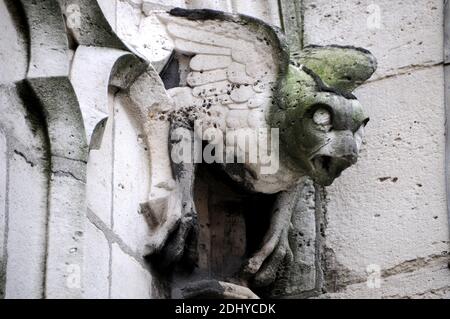 Illustration de Gargouille (Gargouille) à l'église et la cathédrale de Paris, France, le 03 avril 2016. Le terme gargouille est le plus souvent appliqué à l'œuvre médiévale, mais à tous les âges, certains moyens de diversion de l'eau, quand ils ne sont pas transportés dans les gouttières, ont été adoptés. Dans l'architecture égyptienne ancienne, les gargouilles montraient peu de variation, généralement sous la forme d'une tête de lion. Des jets d'eau semblables à l'embouchure du lion ont également été observés sur les temples grecs, sculptés ou modélisés dans le cymatium en marbre ou en terre cuite du cornice. Un excellent exemple de ceci sont les 39 becs d'eau à tête de lion restants sur le Temple de Z Banque D'Images