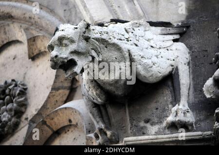 Illustration de Gargouille (Gargouille) à l'église et la cathédrale de Paris, France, le 03 avril 2016. Le terme gargouille est le plus souvent appliqué à l'œuvre médiévale, mais à tous les âges, certains moyens de diversion de l'eau, quand ils ne sont pas transportés dans les gouttières, ont été adoptés. Dans l'architecture égyptienne ancienne, les gargouilles montraient peu de variation, généralement sous la forme d'une tête de lion. Des jets d'eau semblables à l'embouchure du lion ont également été observés sur les temples grecs, sculptés ou modélisés dans le cymatium en marbre ou en terre cuite du cornice. Un excellent exemple de ceci sont les 39 becs d'eau à tête de lion restants sur le Temple de Z Banque D'Images