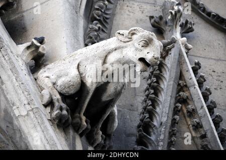 Illustration de Gargouille (Gargouille) à l'église et la cathédrale de Paris, France, le 03 avril 2016. Le terme gargouille est le plus souvent appliqué à l'œuvre médiévale, mais à tous les âges, certains moyens de diversion de l'eau, quand ils ne sont pas transportés dans les gouttières, ont été adoptés. Dans l'architecture égyptienne ancienne, les gargouilles montraient peu de variation, généralement sous la forme d'une tête de lion. Des jets d'eau semblables à l'embouchure du lion ont également été observés sur les temples grecs, sculptés ou modélisés dans le cymatium en marbre ou en terre cuite du cornice. Un excellent exemple de ceci sont les 39 becs d'eau à tête de lion restants sur le Temple de Z Banque D'Images