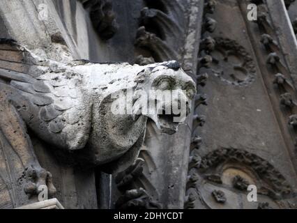 Illustration de Gargouille (Gargouille) à l'église et la cathédrale de Paris, France, le 03 avril 2016. Le terme gargouille est le plus souvent appliqué à l'œuvre médiévale, mais à tous les âges, certains moyens de diversion de l'eau, quand ils ne sont pas transportés dans les gouttières, ont été adoptés. Dans l'architecture égyptienne ancienne, les gargouilles montraient peu de variation, généralement sous la forme d'une tête de lion. Des jets d'eau semblables à l'embouchure du lion ont également été observés sur les temples grecs, sculptés ou modélisés dans le cymatium en marbre ou en terre cuite du cornice. Un excellent exemple de ceci sont les 39 becs d'eau à tête de lion restants sur le Temple de Z Banque D'Images
