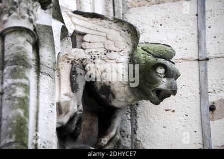Illustration de Gargouille (Gargouille) à l'église et la cathédrale de Paris, France, le 03 avril 2016. Le terme gargouille est le plus souvent appliqué à l'œuvre médiévale, mais à tous les âges, certains moyens de diversion de l'eau, quand ils ne sont pas transportés dans les gouttières, ont été adoptés. Dans l'architecture égyptienne ancienne, les gargouilles montraient peu de variation, généralement sous la forme d'une tête de lion. Des jets d'eau semblables à l'embouchure du lion ont également été observés sur les temples grecs, sculptés ou modélisés dans le cymatium en marbre ou en terre cuite du cornice. Un excellent exemple de ceci sont les 39 becs d'eau à tête de lion restants sur le Temple de Z Banque D'Images