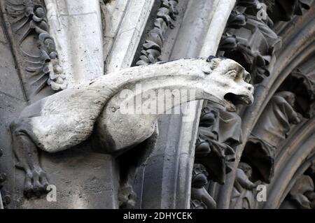 Illustration de Gargouille (Gargouille) à l'église et la cathédrale de Paris, France, le 03 avril 2016. Le terme gargouille est le plus souvent appliqué à l'œuvre médiévale, mais à tous les âges, certains moyens de diversion de l'eau, quand ils ne sont pas transportés dans les gouttières, ont été adoptés. Dans l'architecture égyptienne ancienne, les gargouilles montraient peu de variation, généralement sous la forme d'une tête de lion. Des jets d'eau semblables à l'embouchure du lion ont également été observés sur les temples grecs, sculptés ou modélisés dans le cymatium en marbre ou en terre cuite du cornice. Un excellent exemple de ceci sont les 39 becs d'eau à tête de lion restants sur le Temple de Z Banque D'Images