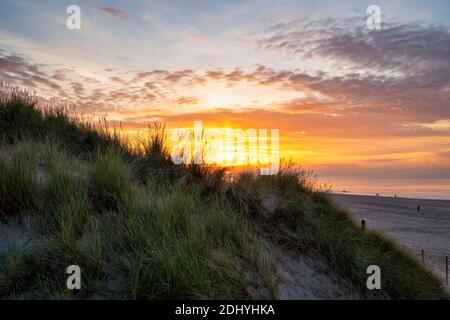 Belles couleurs dorées du soleil se coucher derrière une dune de sable, au coucher du soleil. Banque D'Images